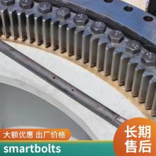 SmartBoltS-Ӿָʾ˨ ˨ ̼ ԭװƷ