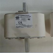 供应巴斯曼熔断器170M1319、170M1320、170M1321、170M1322