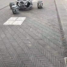 ֣ ͥԺ¹ש Ž¹ש ǽ¹ש ֱ