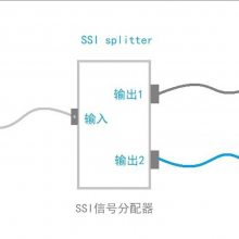 SSIź1ת3ź1231λѡʿ趨ֶ֧ƺ͸