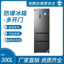 Ӣʽŷ300LҵʵBL-400DM300L