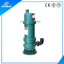 ÷Ǳˮ BQS40-10-3KW۱ 쳧 ***