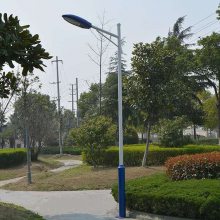 220V道路灯价格LED模组超亮锥形圆管镀锌户外亮化工程货源充足