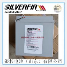 ԭװSILVERFIRɼ12VEL100UPSֱ12V-100Ah