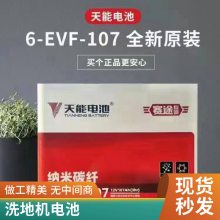 天能电池6-EVF-100/12V100Ah电动汽车免维护蓄电池48V 60V 72V