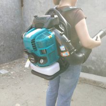 ʽﴵѩֳʽ