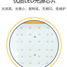 SCCD98I(y)ˮLEDSվFͶ100w