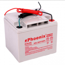 Phoenixܴ