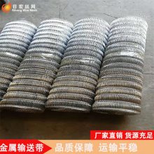 流水线食品输送网带 清洗机烘干机传动带 螺旋式金属网带
