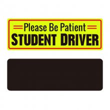 ˾ʵϰԷó***student driver־