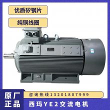 ЧYE2-315L1-2 160KW Ƭ 徲