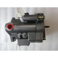 µÏÆÕÂíduplomaticÖùÈû±ÃVPPMҺѹ±Ã