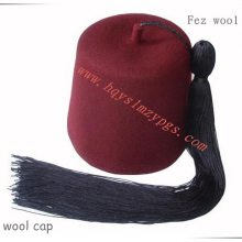 ɱë˹ñThe Philippines wool Fez cap / ˹ñ