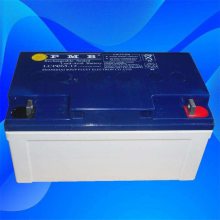 PMB LCPA24-12 ǳά12V24AH ϵͳ upsԴ