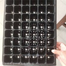̼۸ 50Ѩ  