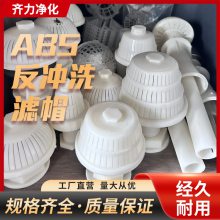 辽源 ABS塑料反冲洗滤帽双头排水帽304长短柄塔型蘑菇伞形滤头污水处理