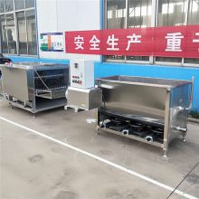 湛江煤气烧水鸭子烫毛机