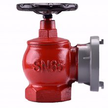 山东莱芜***SN65室内消火栓生产价格