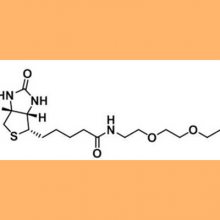 Biotin-PEG2-azide_1910803-72-3_-Ҷ-