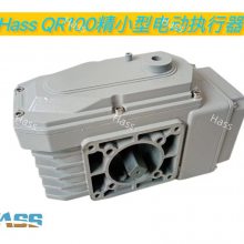 HASS С/綯ִ/綯ִ///Զ̿PLC