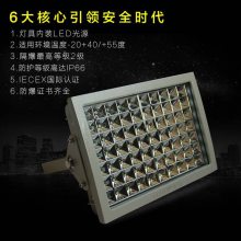 瓯胜朗照明led防爆灯OBG97 100w加油站防爆灯 防爆投光灯