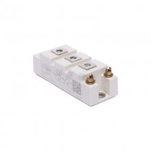 ֱSKM100GB176DſIGBTģ