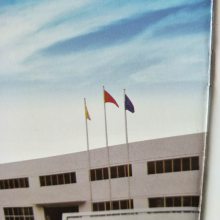 立式单级消防泵组XBD7.0/40G-L喷淋泵扬程一般多少厂家定制