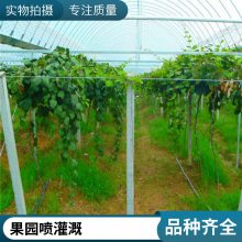 盐城建湖种植喷淋系统建设 外遮阳连栋大棚喷雾设备 内保温连体大棚喷淋灌溉系统