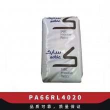 PA66   RL 4020 עܼ ͸ ƣ  ƾ