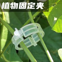 植物瓜果植物夹塑料绑蔓夹绑枝夹吊蔓夹扶蔓夹西红柿夹藤蔓固定夹