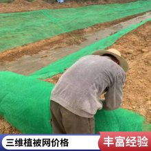 咸宁世杰EM4 EM3三维植被网 护坡固土网垫 抗冲刷 加筋防护