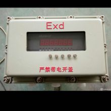 BXK防爆控制箱 控制开关 仪表 电流表和电压表均为防爆元件