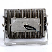 糧led100w ʽled ۳led