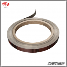 Elgiloy  ASTM F1058 Spring Alloy