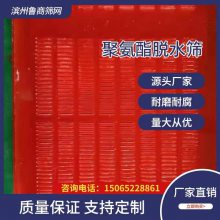 聚氨酯脱水筛网 2445脱水筛机 水洗砂筛网 细沙回收设备 条缝筛 塑料网 方圆