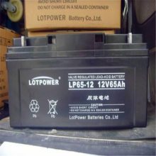 LOTPOWER乐珀尔蓄电池LP250-12 12V250AH大功率UPS电源配套