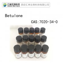 Betulone 98% ׼Ʒ/Ʒ Լ 5mg HPLC 7020-34-0