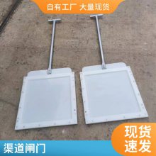 防倒灌手提闸质量轻高密封止水HDPE/PP复合塑料闸门400*600