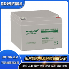 ƻ6-GFM-120Ǧ12V120AHάUPSϵԴ