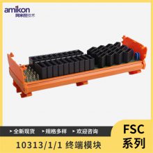 ģװCC-TAIX01 DCS EPKS R410