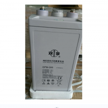 ˫ǦطܷGFM-300AH (C10)