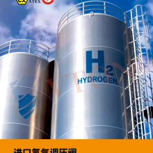 进口氢气调压阀 防泄漏设计 美国威盾VTON品牌