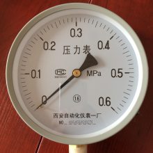Y-200ͨѹ