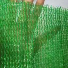 鸿宇筛网防晒聚乙烯网生产 园丝盖土网定做 种植多肉覆盖网