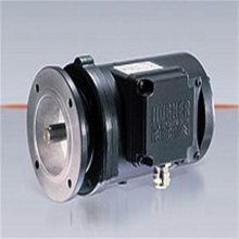 现货HUBNER重载型编码器