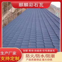 仿古金属瓦 新型屋顶建材 中式别墅屋面瓦材料 阻燃防水