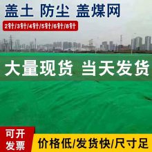 工地绿色防尘网 建筑塑料盖土网 防止扬尘绿化网