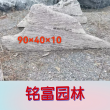 ѩʯƬ  Ǯһֻ֣Ҫ2-3ѩʯҲ ۣ ѩʯ