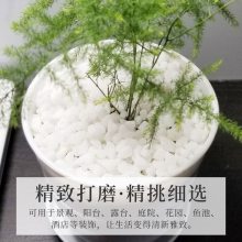ӱ쾰ʯ ʯ