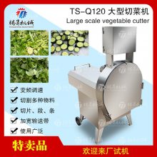 大型果蔬切片机切段切丝商用多功能蔬菜切菜机叶菜类切丝设备TS-Q1***型切菜机